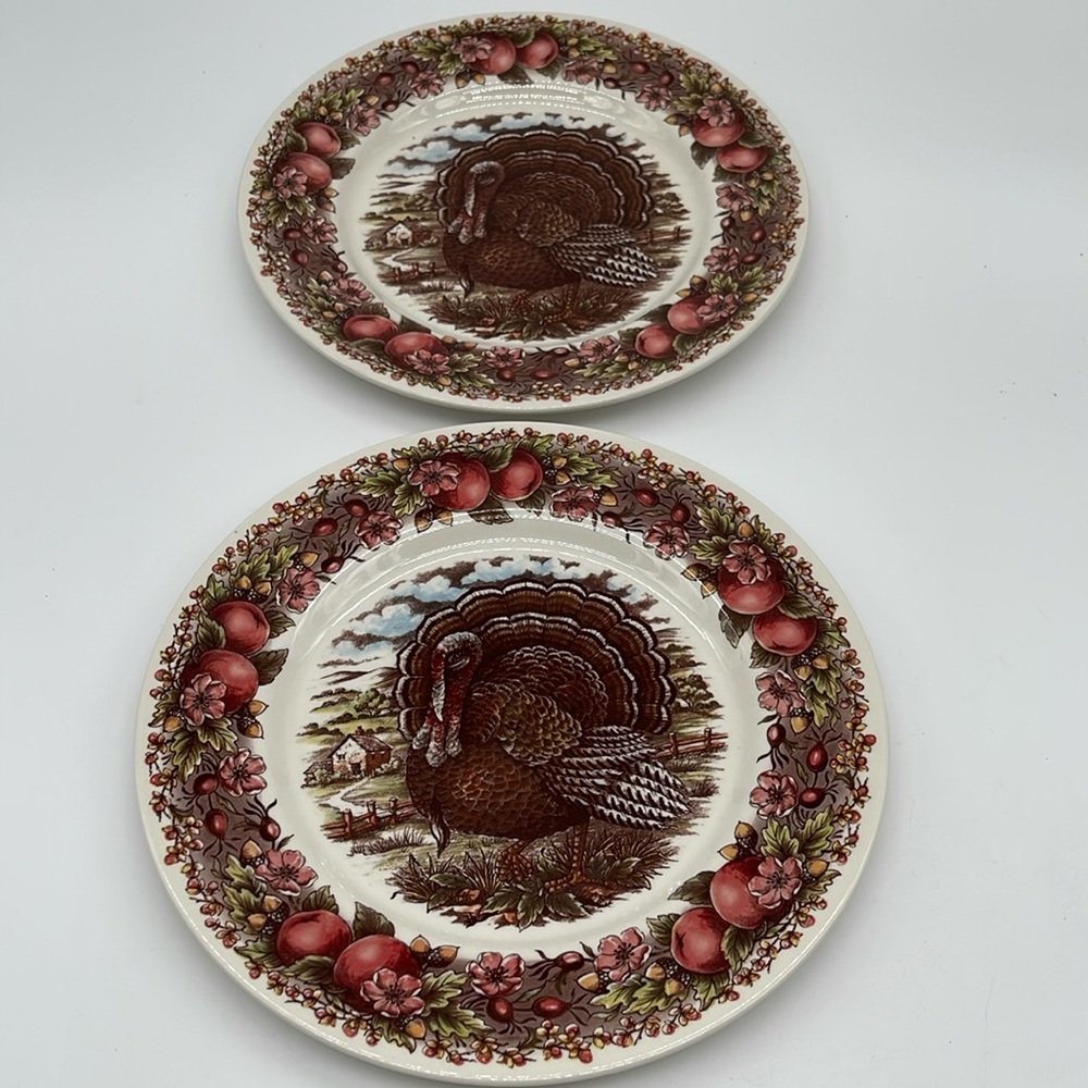 Royal Stafford Turkey Plates-Set of Two